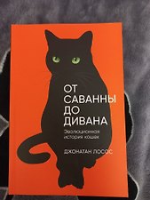Фото отзыв 0