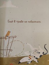 Фото отзыв 2