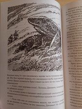 Фото отзыв 2