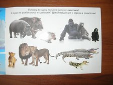 Фото отзыв 1