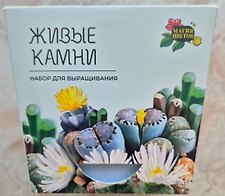 Фото отзыв 4