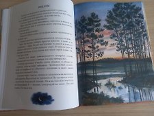 Фото отзыв 0
