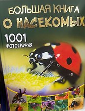 Фото отзыв 0