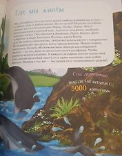 Фото отзыв 2