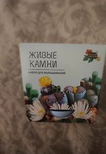 Фото отзыв 2