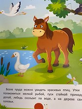 Фото отзыв 0