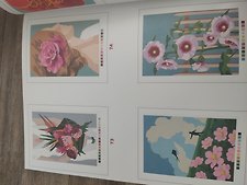 Фото отзыв 1