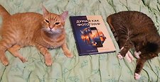 Фото отзыв 0